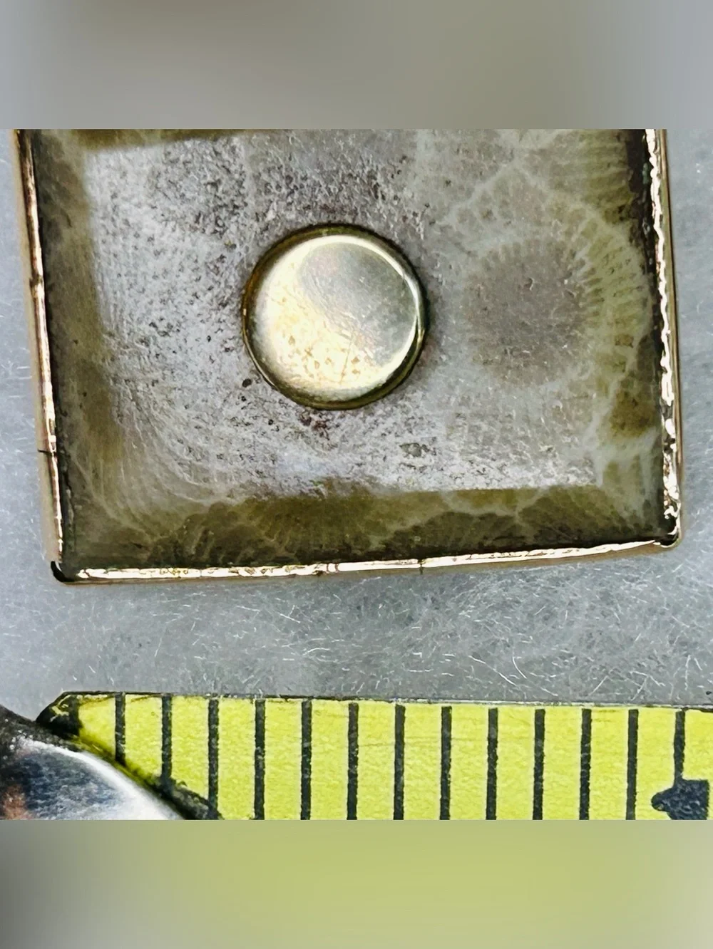 Rare Vintage Petoskey Stone & 10K Gold Accent Cuff Links (c. 1940s–1960s)